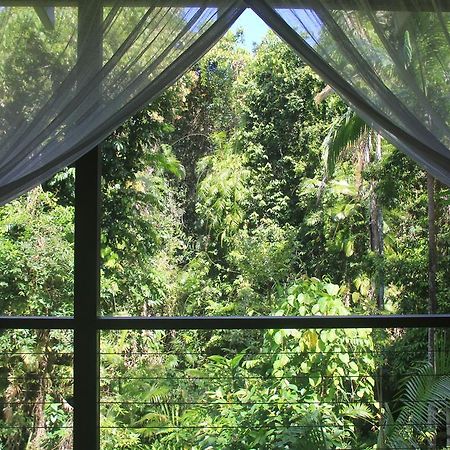 Silky Oaks Lodge Mossman Экстерьер фото