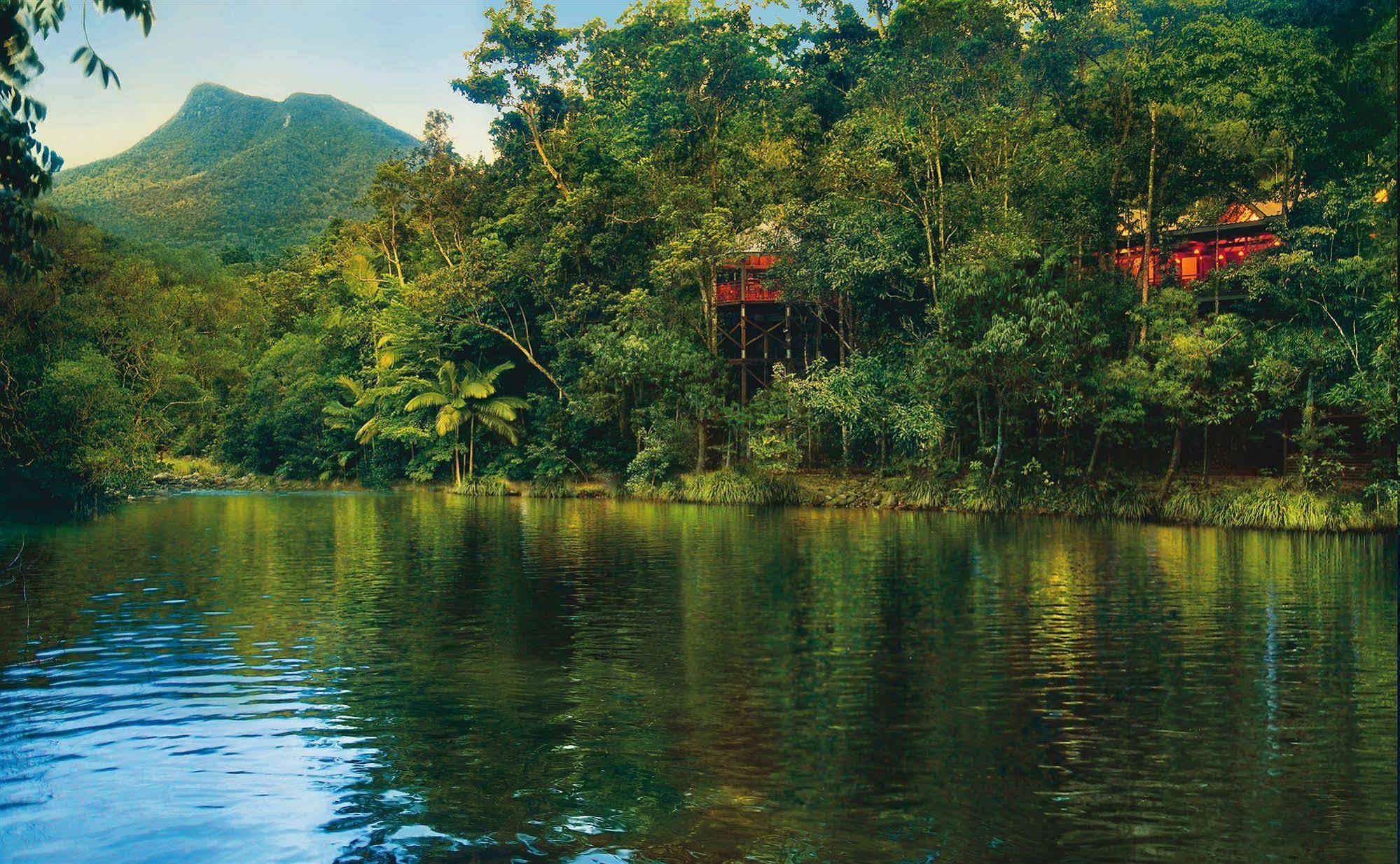 Silky Oaks Lodge Mossman Экстерьер фото